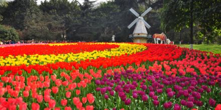 花卉基地取名技巧