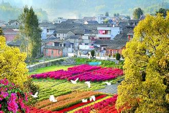 花卉基地取名技巧