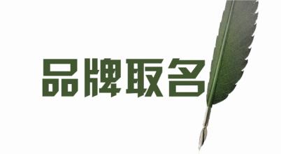 品牌命名是品牌创意的载体是品牌传播的核心