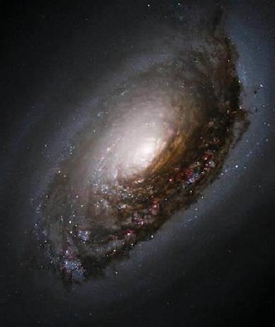 星系名称