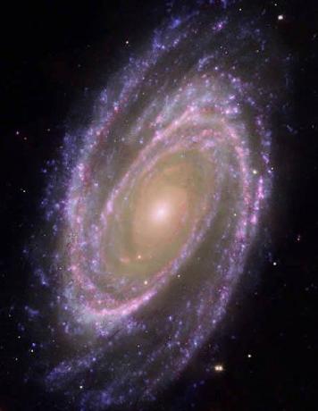 星系名称
