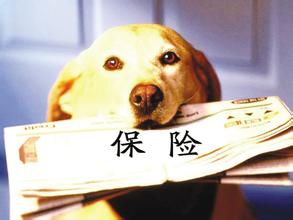 保险公司名字大全