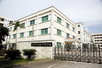 电子厂起名