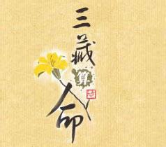 三藏预测网与先知中国命名网哪个好？