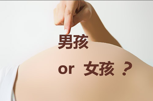 什么样的环境布局影响生男生女？