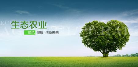 生态农业公司命名