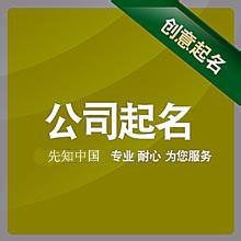 公司名称大全简单大气
