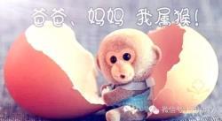 猴宝宝吉祥起名大全
