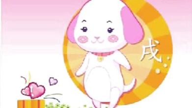属戌狗宝宝周易生辰格局婴儿起名