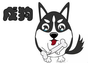 2016年属狗人吉祥颜色和数字