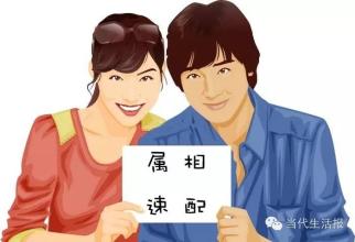 生肖羊VS生肖蛇