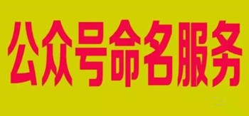 微信公众号起名大全