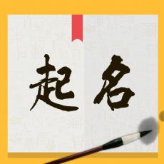 公司起名