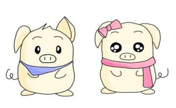 生肖猪