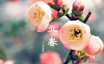 今年立春节注意什么