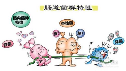 如何给益生菌产品起名字?