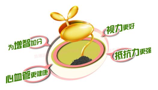 DHA藻油产品品牌起名