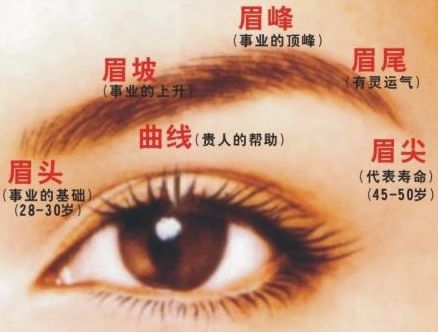 拥有这四种眉形的人定是好命，超准！