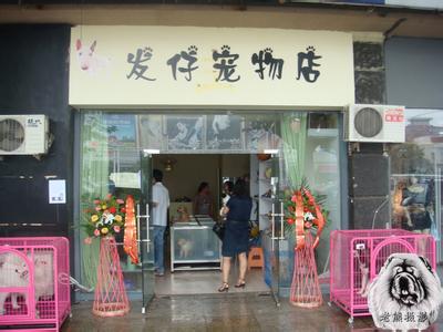 吉利的宠物店名字如何起