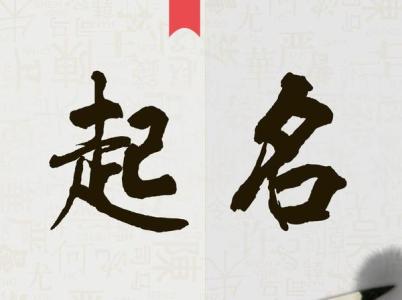 2017新公司取名规定及注意事项