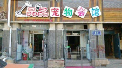 更新的宠物用品店铺起名