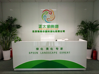  绿化工程公司起名大全 