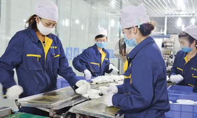 消毒餐具公司起名