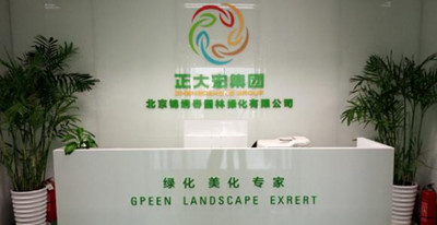 给绿化公司起名字