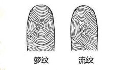 什么是指纹预测 指纹预测大全