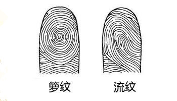 什么是指纹预测