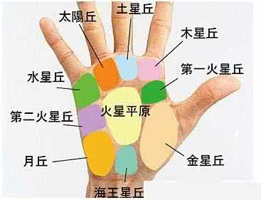 女人右手手相图解