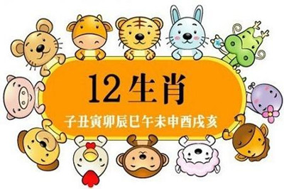 十二生肖如何增运