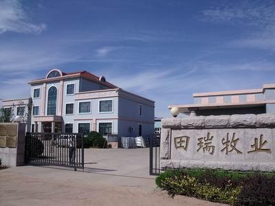 牧业公司取名