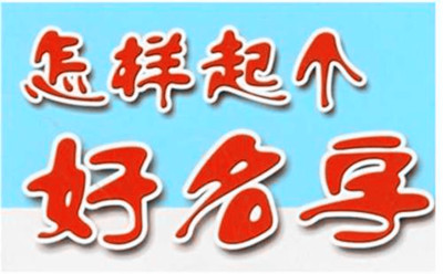属牛的公司名字大全集