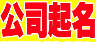 属猪人开公司怎么取名