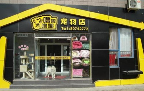 2018宠物店起名大全