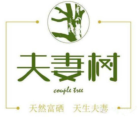 农业品牌定位如何得民心