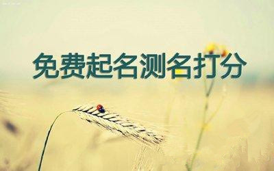 周易公司起名打分测试