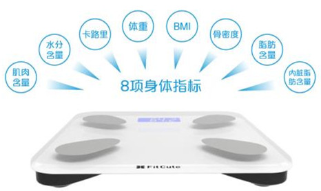 健康秤品牌命名及名称大全