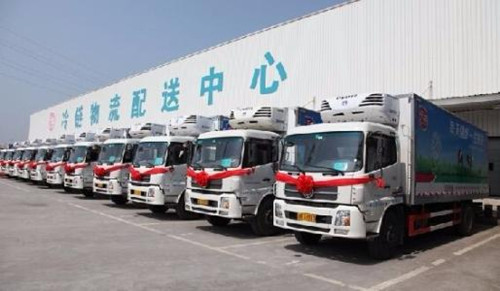 2019年好听的物流公司名字如何起