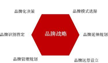 公司品牌战略规划