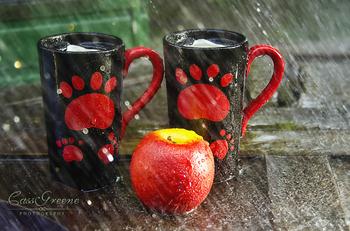 梦见春雨是怎么回事